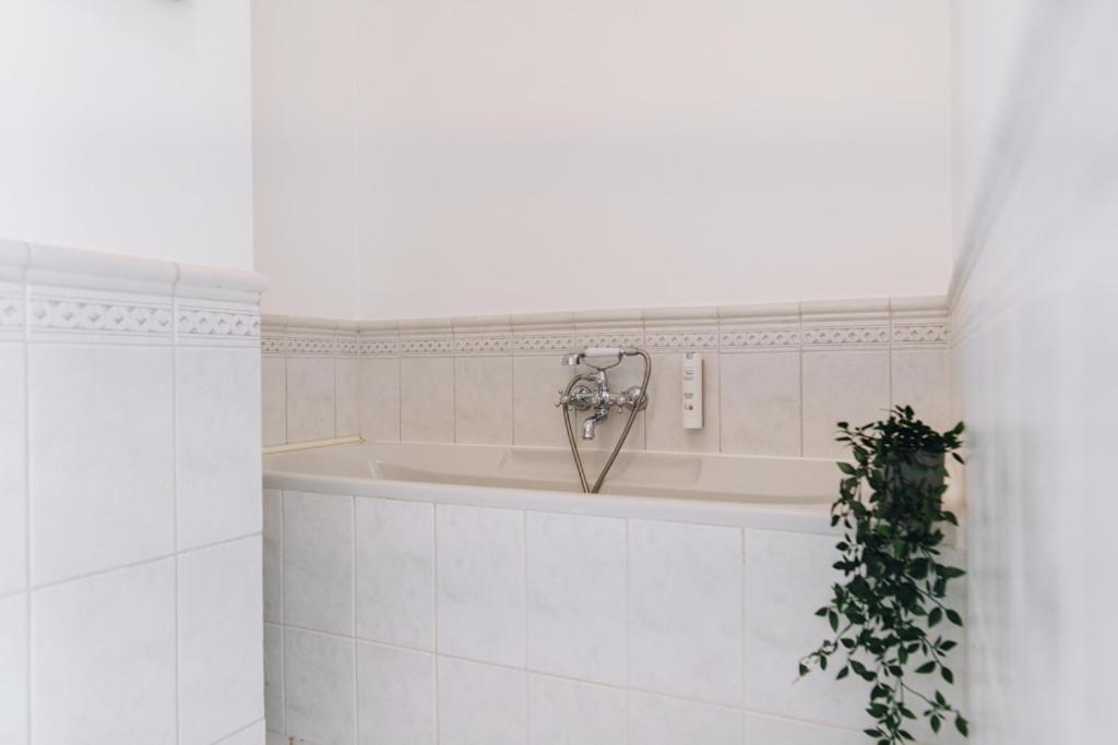 Dream Stay - Art Gallery Family Apartment With 2 Bathrooms Tallinn Eksteriør bilde